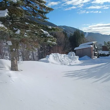 Holiday home Alpine Idyll *
